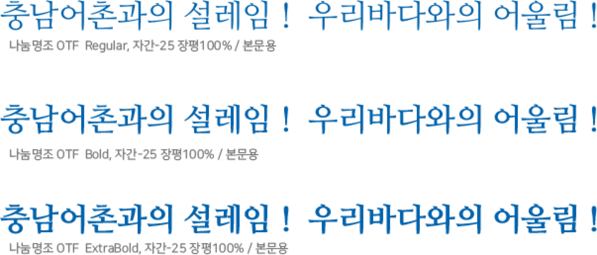 
                        충남어촌과 설레임! 우리바다와의 어울림!라는 문장을
                        나눔명조 OTF로 Regular,Bold,ExtraBold로
                        자간 -25, 장평 100%/ 본문용으로 표현중입니다.
                        